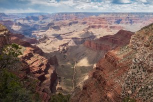 2019-06-18 13.20 IMG_2533.jpg