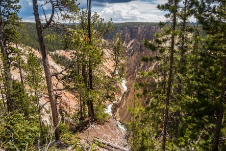 2019-06-26 12.05 IMG_2965.jpg