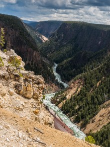 2019-06-26 12.25 IMG_2971.jpg