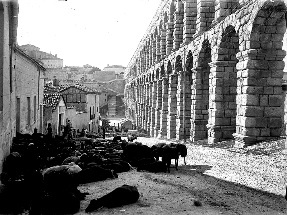 F8E152B1-9B47-FDCB-02254A19799C15A6