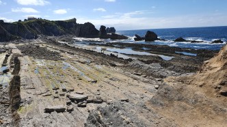 placas20200715_172741-1